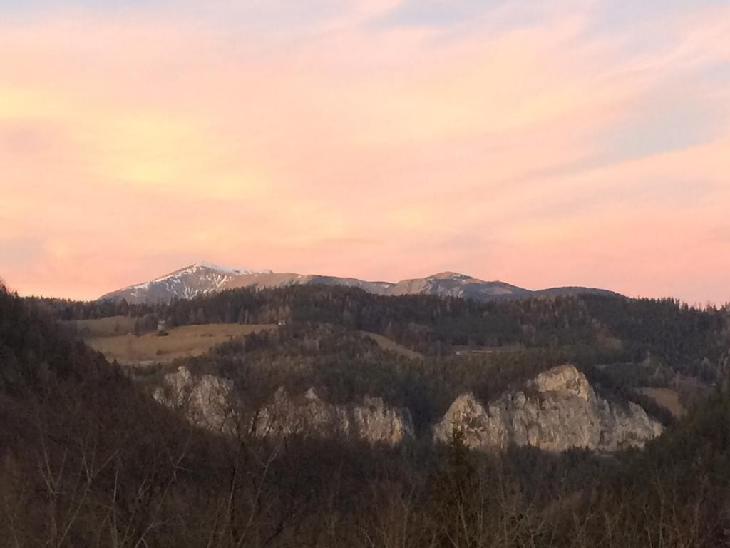 Villa Wellspacher Semmering Εξωτερικό φωτογραφία