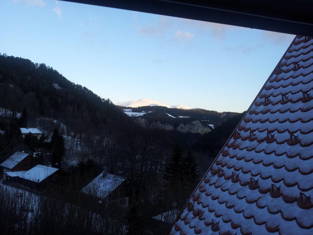 Villa Wellspacher Semmering Εξωτερικό φωτογραφία