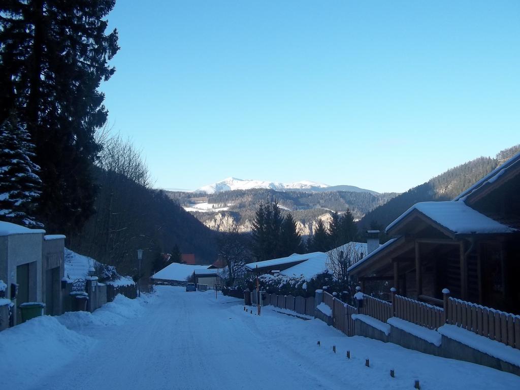 Villa Wellspacher Semmering Εξωτερικό φωτογραφία